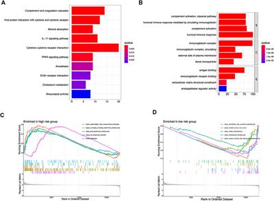 Prognostic value and immunological characteristics of a novel cuproptosis-related long noncoding RNAs risk signature in kidney renal clear cell carcinoma